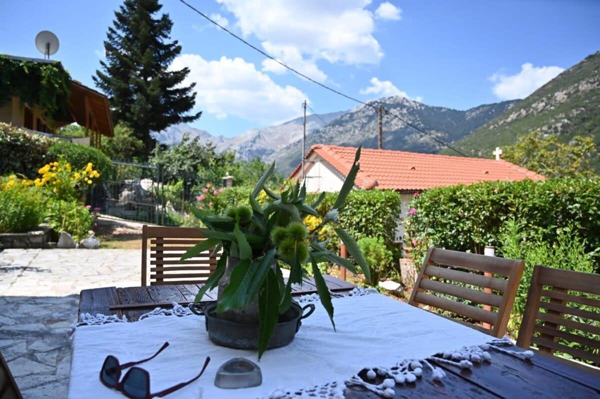 Kalavrita Winter Retreat - Homely Spacious Chalet Áno Vlasía 외부 사진
