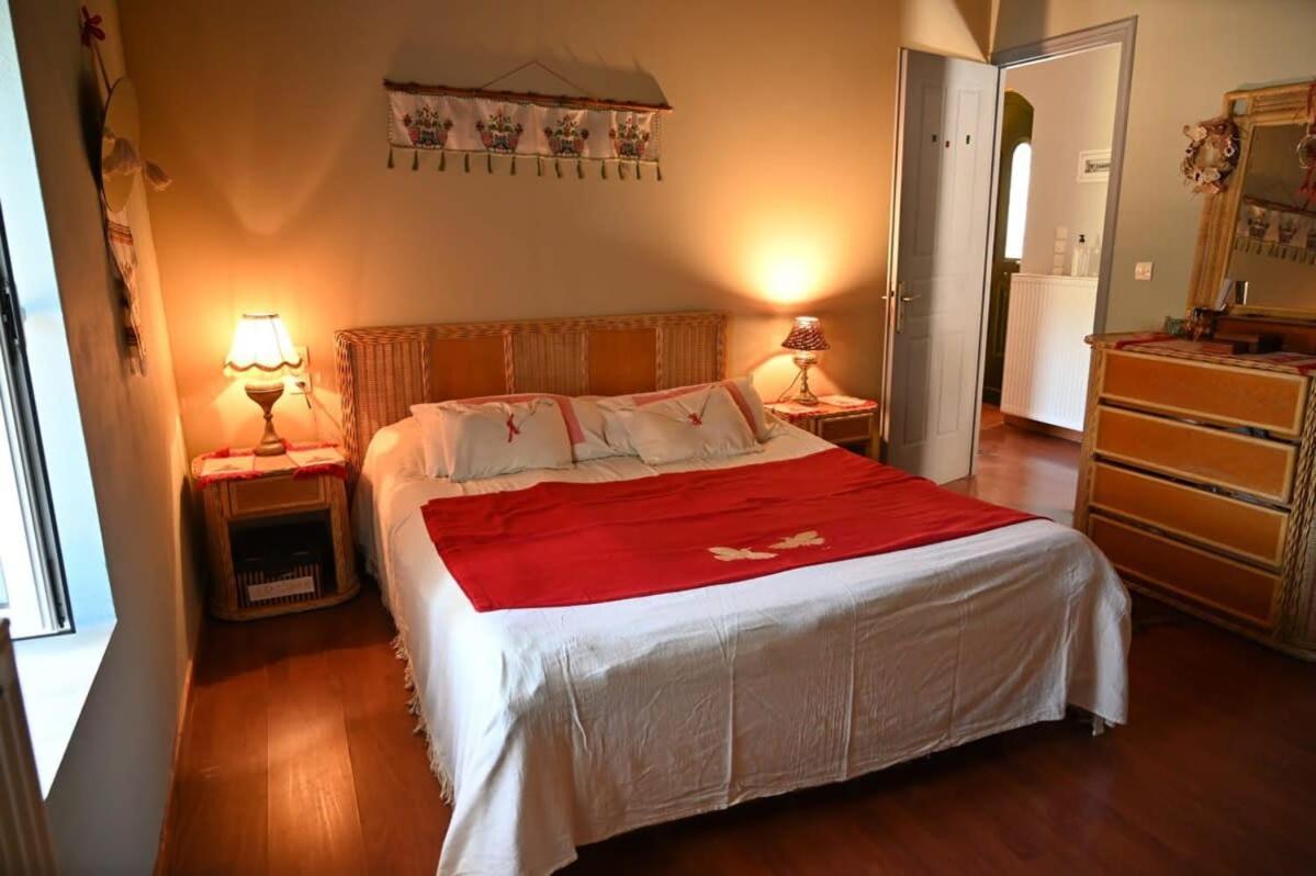 Kalavrita Winter Retreat - Homely Spacious Chalet Áno Vlasía 외부 사진